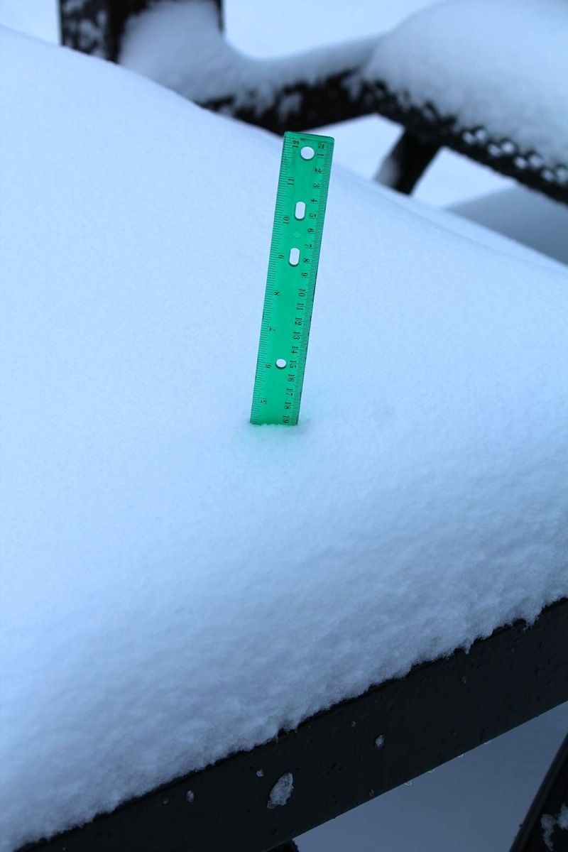 Snow